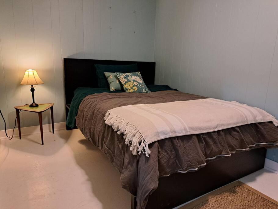 Blue Dog Accommodations Eastend Екстер'єр фото