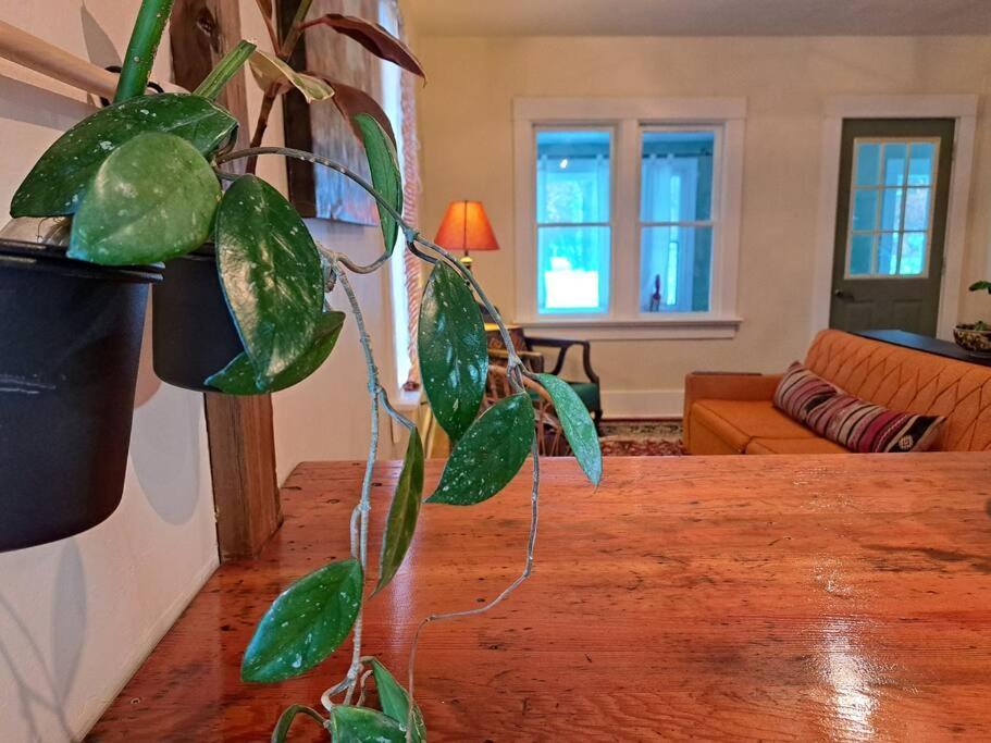 Blue Dog Accommodations Eastend Екстер'єр фото